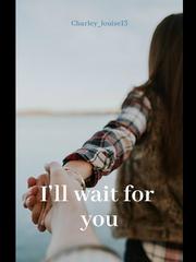 I'll Wait For You Book