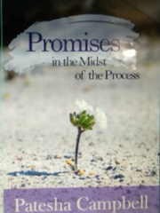 PROMISES IN THE MIDST OF THE PROCESS Book