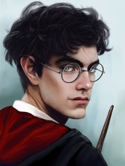 I'm Harry Potter, from now on Marple Novel