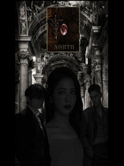 Arora and The Moon Book North Perusahaan Novel