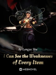 I Can See Everything's Weaknesses Book