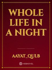 Whole life in a night Book