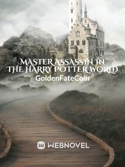 Master Assassin In The Harry Potter World Overwatch Novel