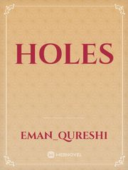 the novel holes