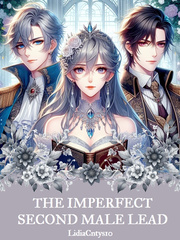 The Imperfect Second Male Lead (English) Book