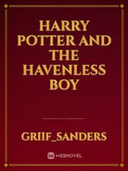 Harry Potter and the Havenless Boy Book