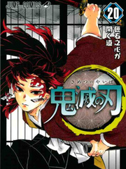 Unknown Pillar (Kimetsu no Yaiba x Male!Reader) Sanemi Shinazugawa Novel