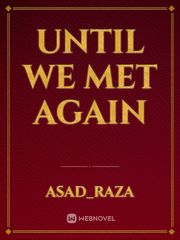 until we met again Book