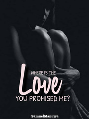 WHERE IS THE LOVE YOU PROMISE ME? Book