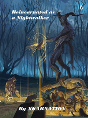Reincarnated as a Nightwalker Book