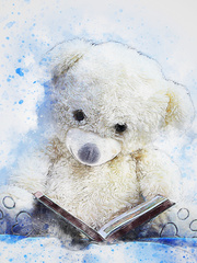 Sir Teddy Bear Book