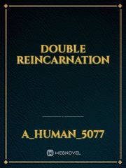 Double Reincarnation Book