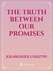The Truth Between Our Promises Book