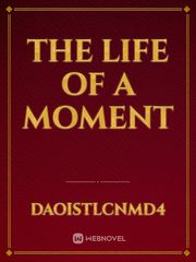 The life of a moment Book