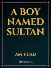 A boy named sultan Book