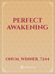 Perfect Awakening Book