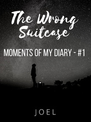 The Wrong Suitcase Book