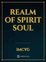 Realm of Spirit Soul Book