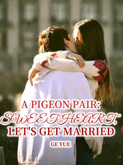 A Pigeon Pair：Sweetheart，Let's Get Married Book