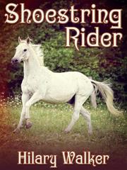 Shoestring Rider Shart Novel