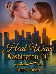 Heat Wave: Washington, DC Book