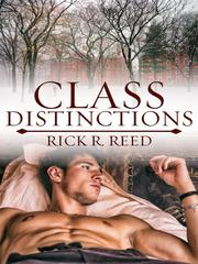 Class Distinctions Ff13 Novel