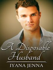 A Disposable Husband Rain Novel