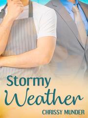 Stormy Weather Jonaxx Novel