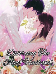 Divorcing The Aloof Husband Book