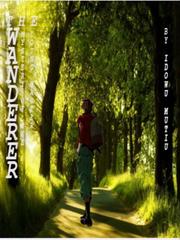 The Wanderer: mystery of the young Master Badass Novel