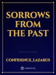 Sorrows from the past Book