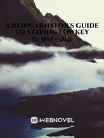 A Reincarnator's Guide To Staying Lowkey Book