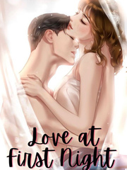 Love at First Night Book