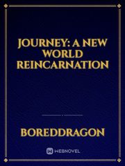 Journey: A New World Reincarnation Book