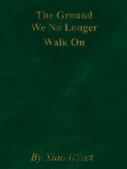 The Ground We No Longer Walk On Book