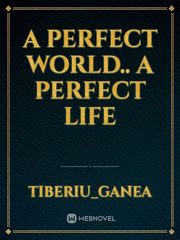 A perfect world.. a perfect life Book