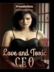 Love and Toxic CEO Book