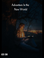 Adventure In The New World Book
