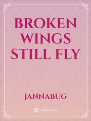 Broken Wings Still Fly Book