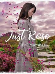 Just Rose Fatmagul Novel