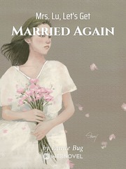 Mrs. Lu, Let's Get Married Again Book