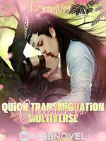 Quick Transmigration : Chased in the Multiverse (BL)