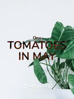 Tomatoes In May