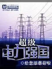 超级电力强国 100 Novel