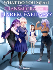What Do You Mean There Are Other Transmigrators In My Harem Fantasy? Book