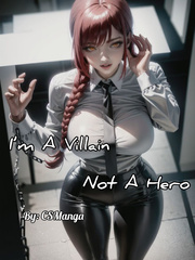 I'm a Villain not a Hero Book