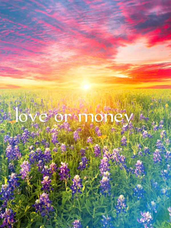 LOVE OR MONEY