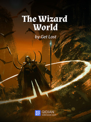 The Wizard World  Second Hand Novel