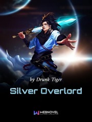 Silver Overlord Secret Novel
