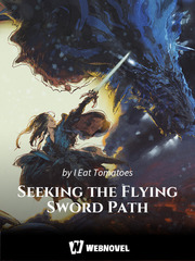 Seeking the Flying Sword Path Twenty Novel